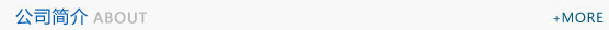 公司简介